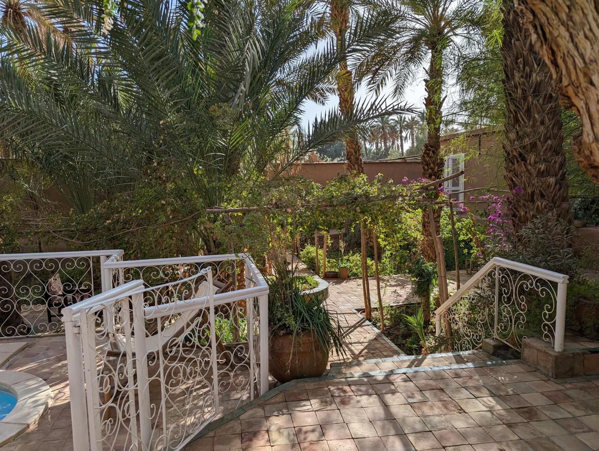 Villa Zagora Ma Villa Au Sahara Εξωτερικό φωτογραφία