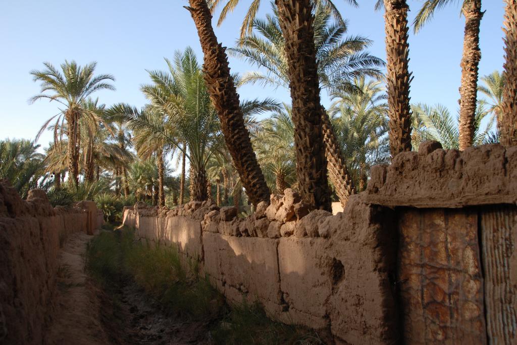 Villa Zagora Ma Villa Au Sahara Εξωτερικό φωτογραφία