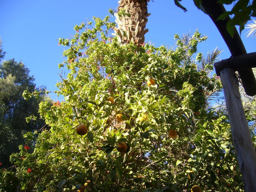 Villa Zagora Ma Villa Au Sahara Εξωτερικό φωτογραφία