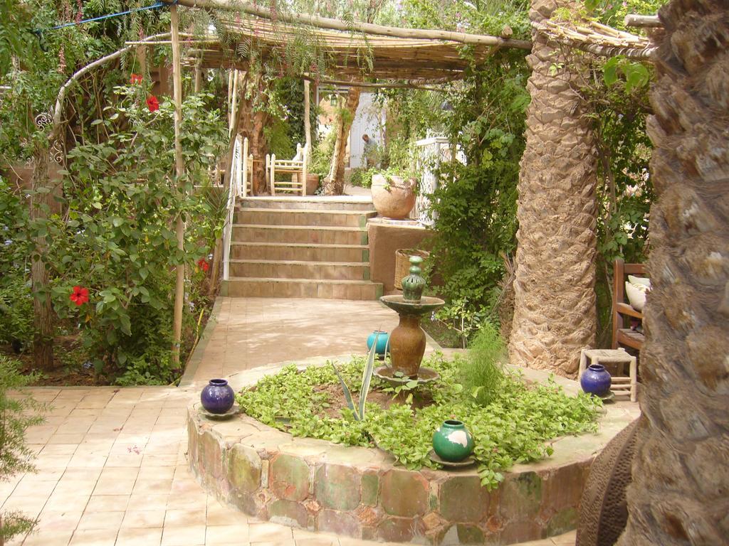 Villa Zagora Ma Villa Au Sahara Εξωτερικό φωτογραφία