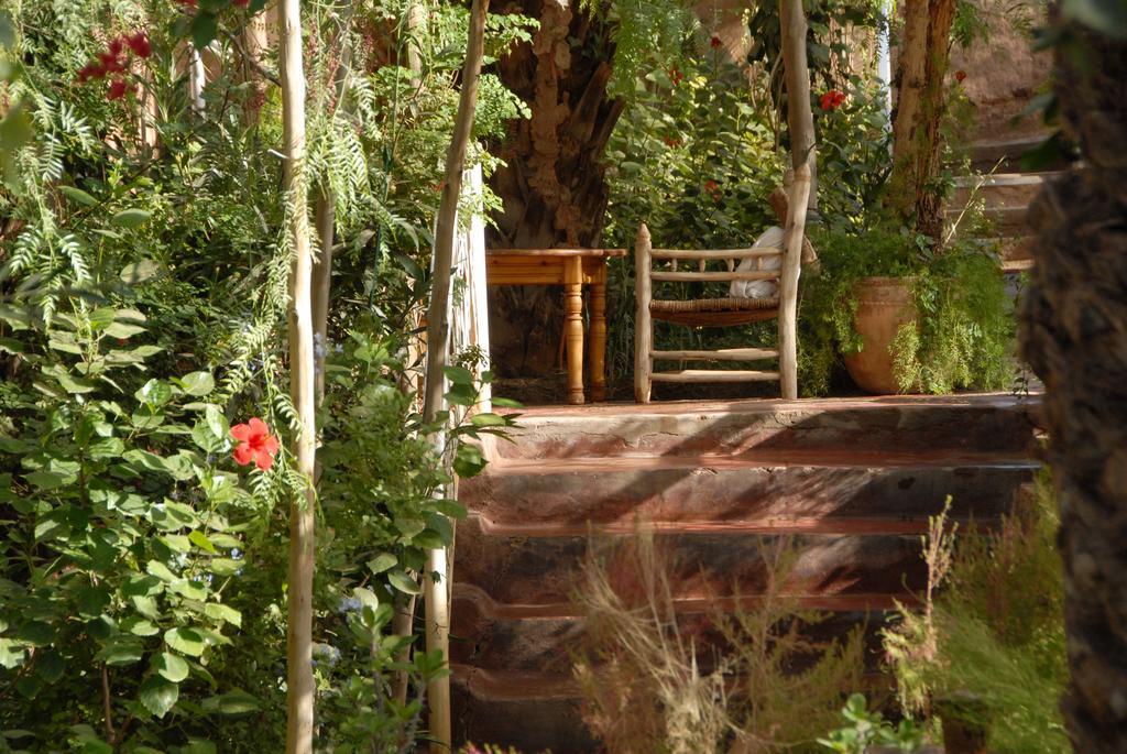 Villa Zagora Ma Villa Au Sahara Εξωτερικό φωτογραφία