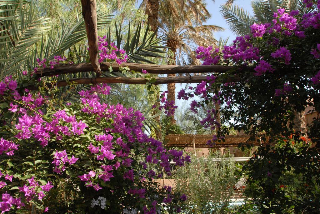 Villa Zagora Ma Villa Au Sahara Εξωτερικό φωτογραφία