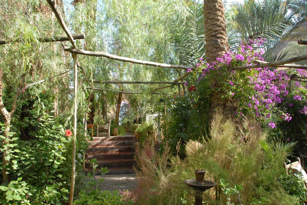Villa Zagora Ma Villa Au Sahara Εξωτερικό φωτογραφία