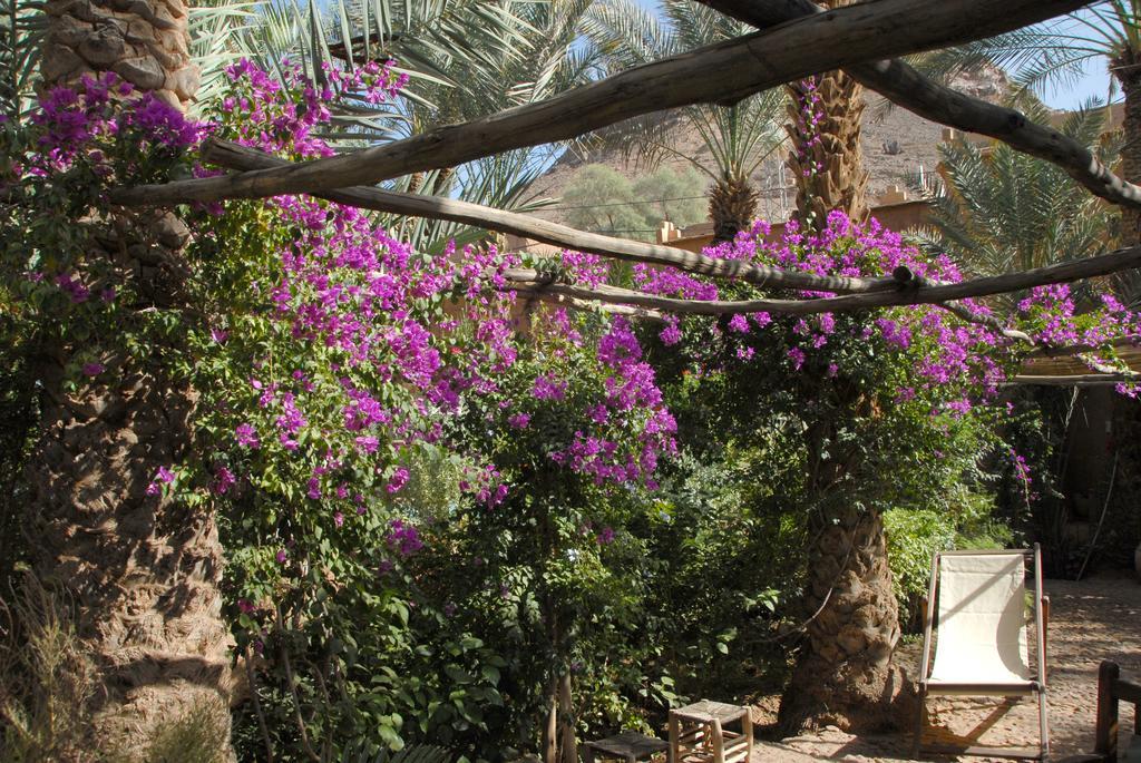 Villa Zagora Ma Villa Au Sahara Εξωτερικό φωτογραφία
