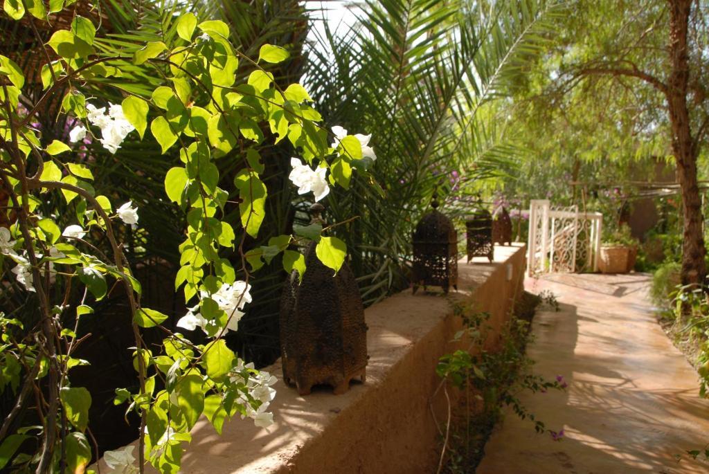 Villa Zagora Ma Villa Au Sahara Εξωτερικό φωτογραφία