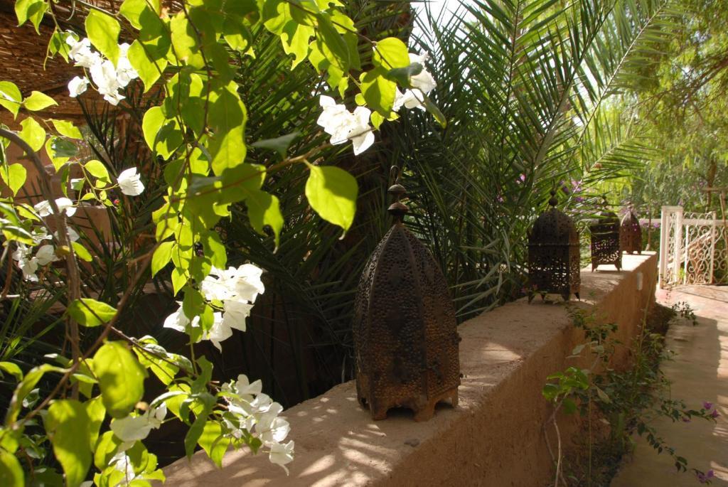 Villa Zagora Ma Villa Au Sahara Εξωτερικό φωτογραφία