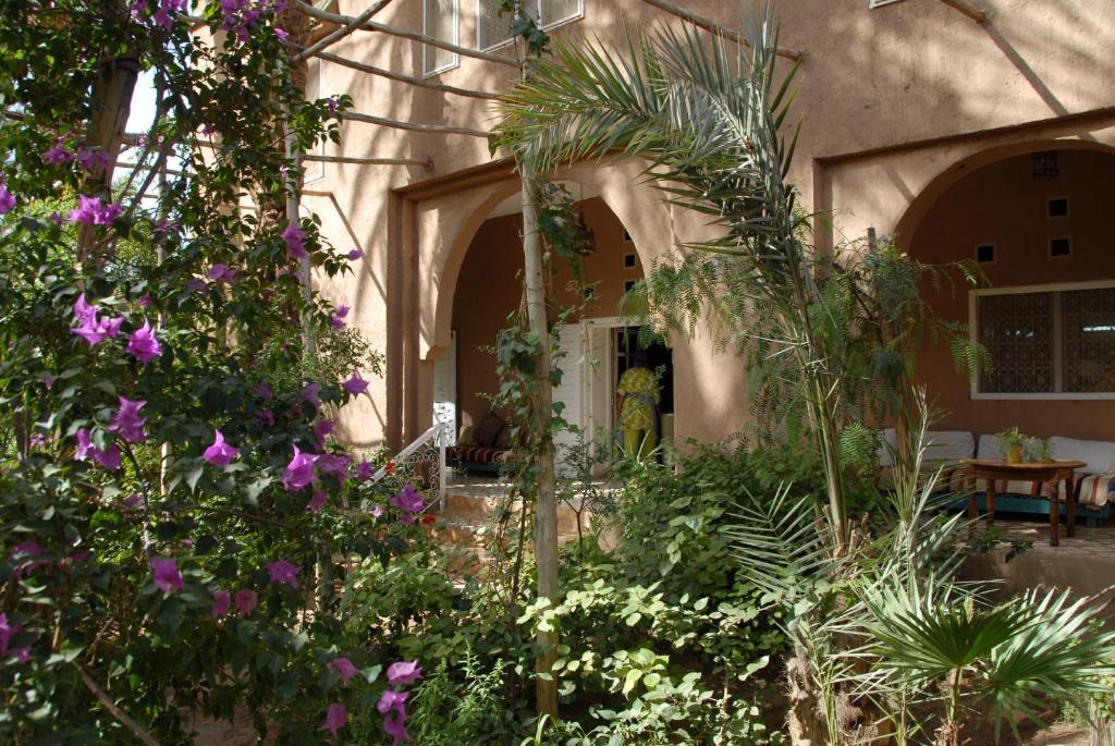 Villa Zagora Ma Villa Au Sahara Εξωτερικό φωτογραφία